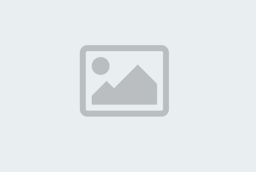 Logo de VIVEIRO DE MUDAS MEIRA