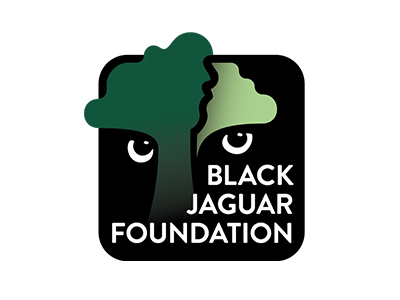Logo de Black Jaguar Foundation