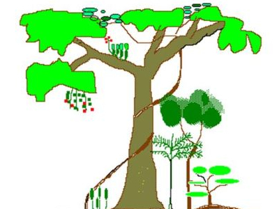 Logo de Universidade Estadual de Londrina/Laboratório de Biodiversidade e Restauração de Ecossistemas Degradados